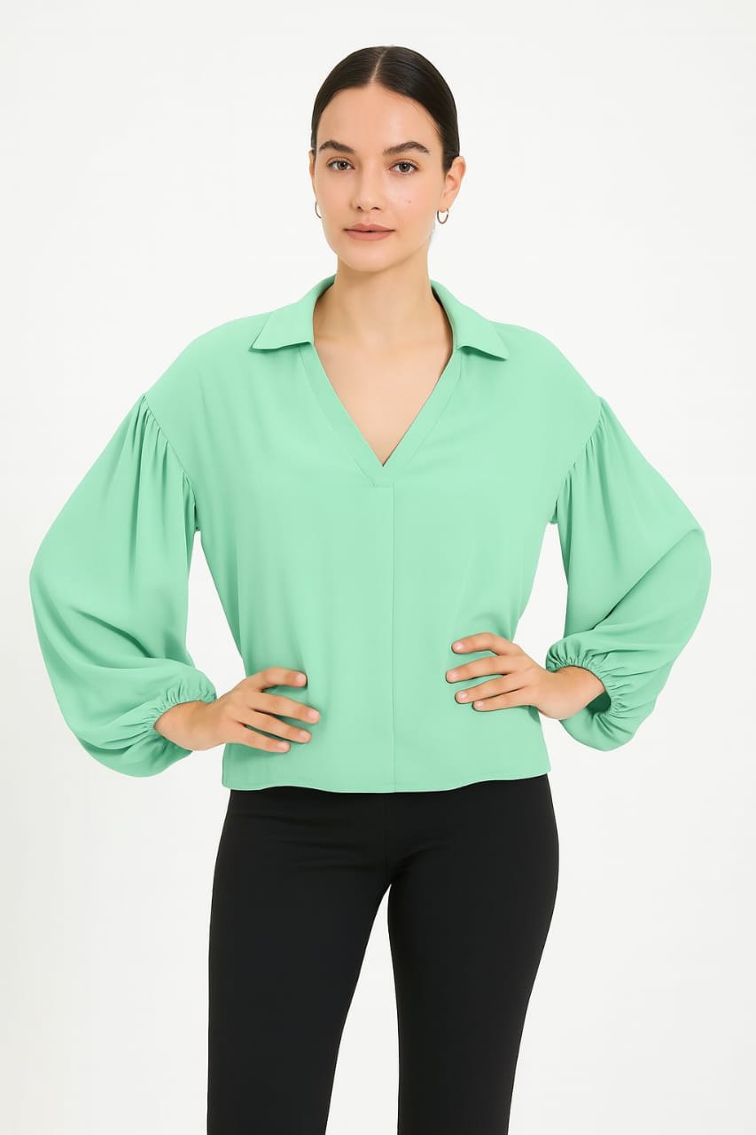 Collar long sleeves Blouse